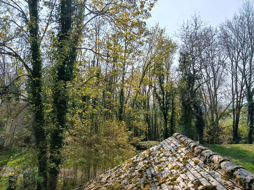 Maison à GERMIGNY-L'EXEMPT