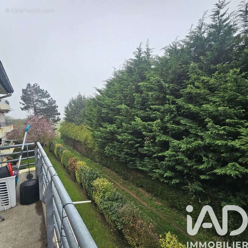 Photo 9 - Appartement à FRIVILLE-ESCARBOTIN