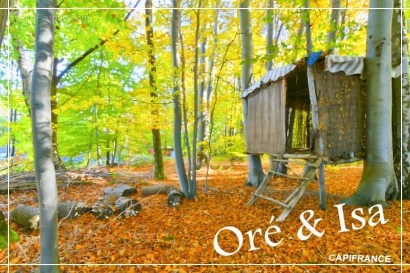 Terrain à SAINT-DESIRE