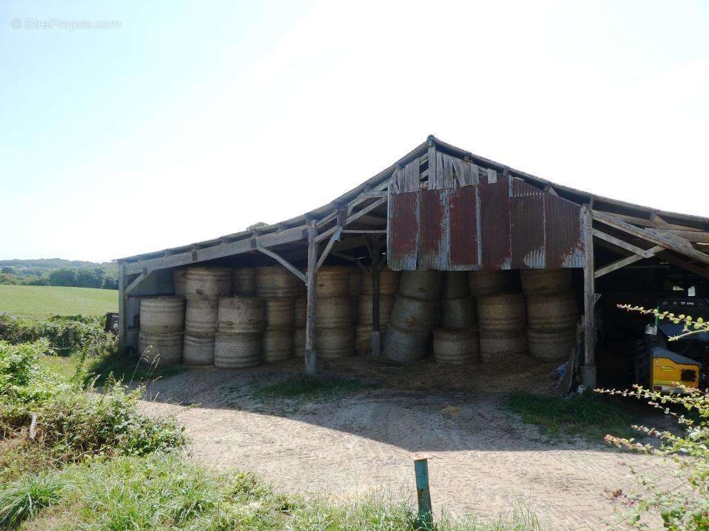 Exploitation agricole - photo 14