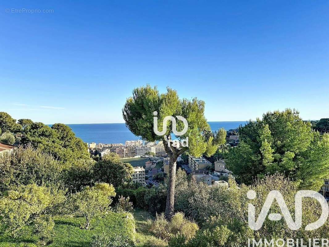 Photo 3 - Appartement à ROQUEBRUNE-CAP-MARTIN