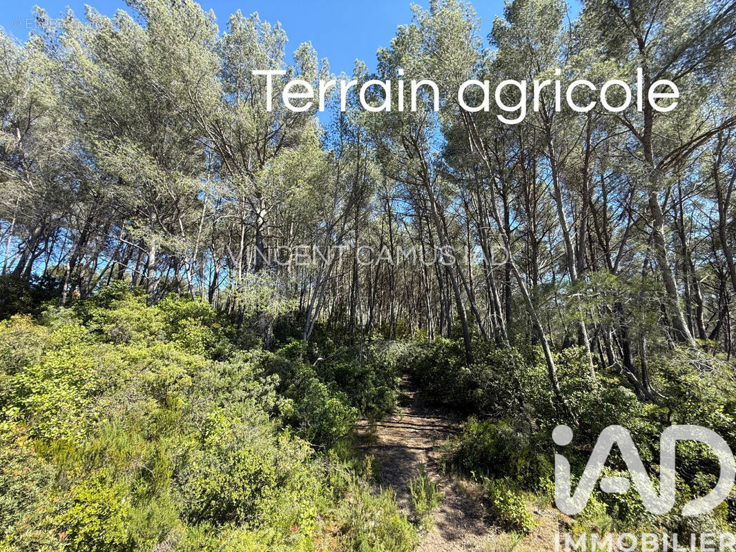 Photo 1 - Terrain à LA CADIERE-D'AZUR