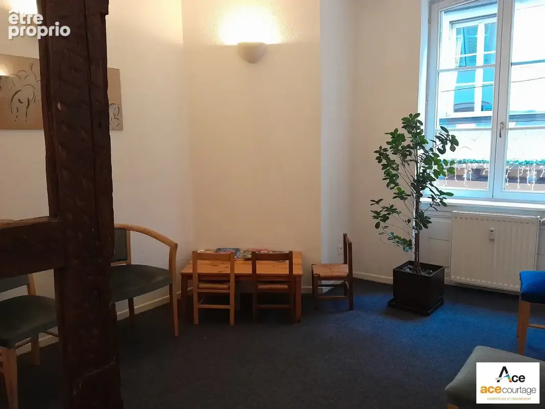 Commerce 110 m² à vendre à Strasbourg (67000) - photo 6