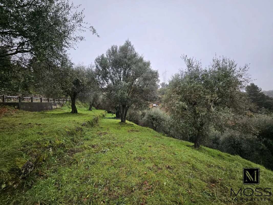 Terrain à BERRE-LES-ALPES