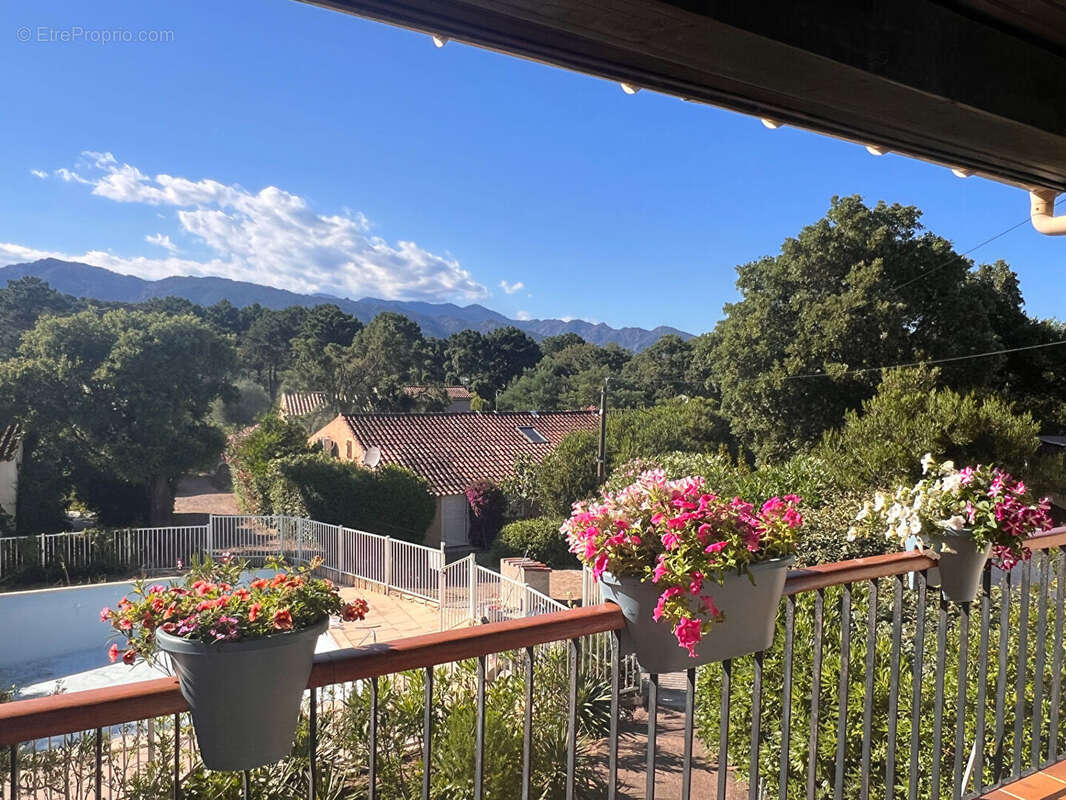 Maison à PORTO-VECCHIO