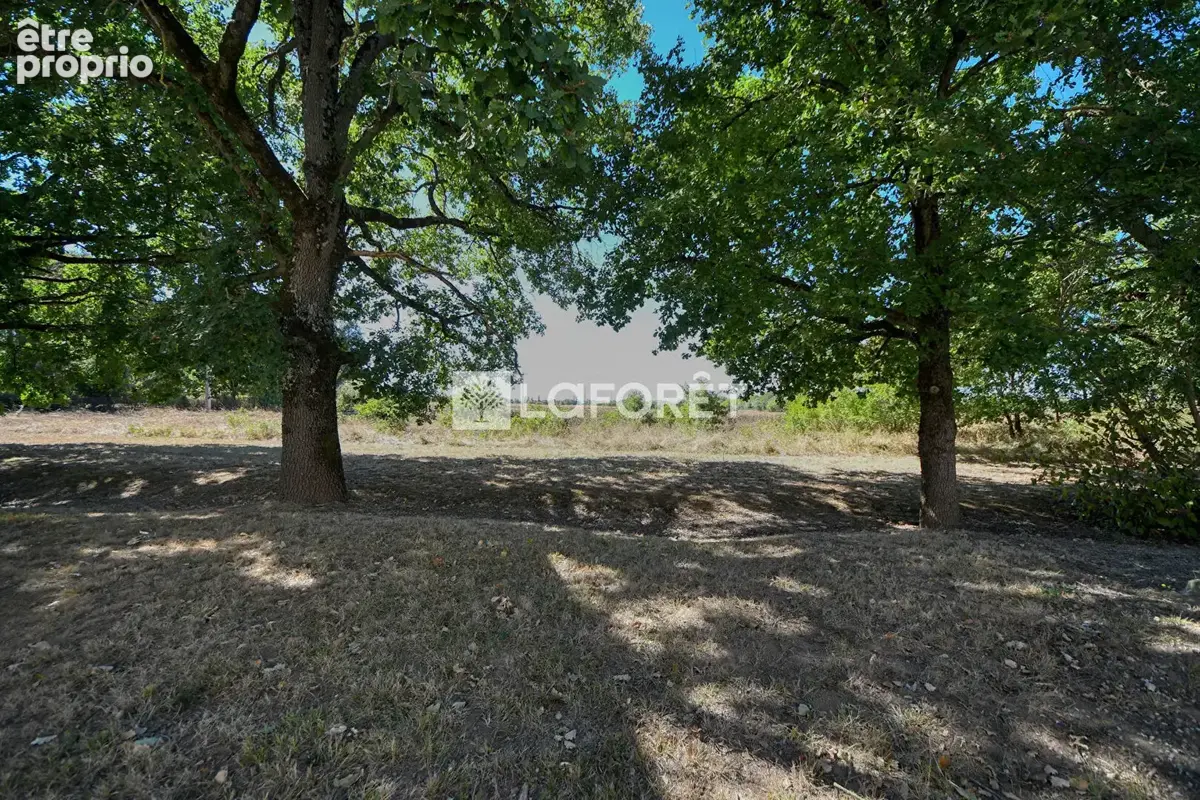 Maison avec sous sol complet a vendre a 6 minutes du centre de lisle-sur-tarn - photo 10