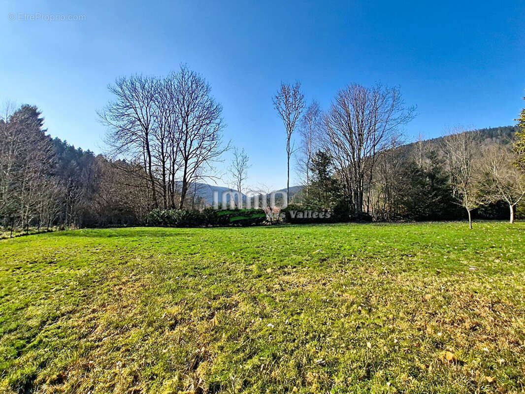 Terrain à XONRUPT-LONGEMER