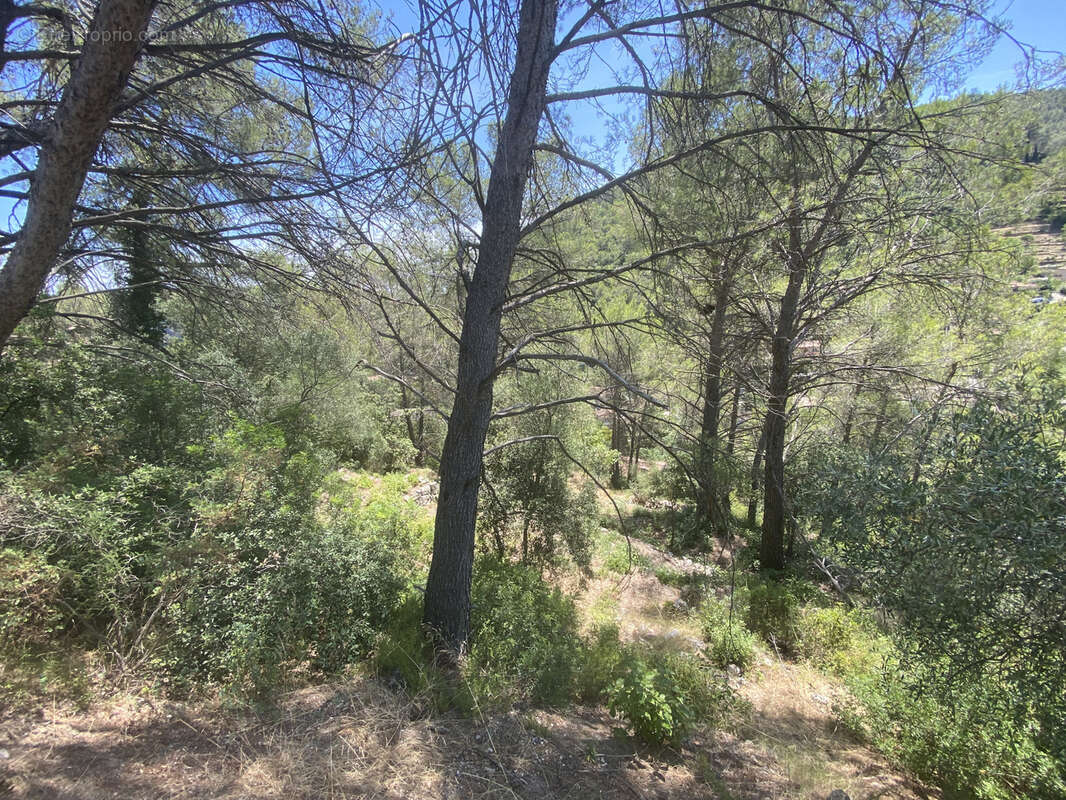 Terrain à SOLLIES-TOUCAS