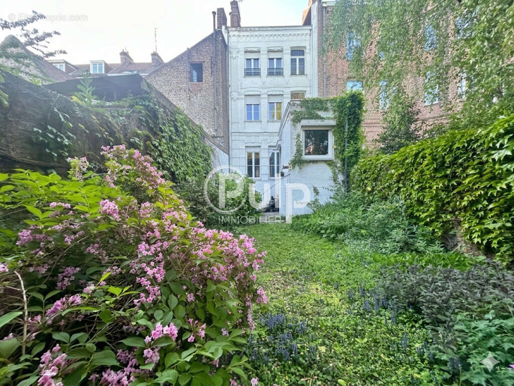 Maison à DOUAI