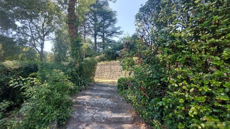 Maison avec studio indépendant et piscine – Cadre exceptionnel – Villeneuve-lès-Avignon - photo 7