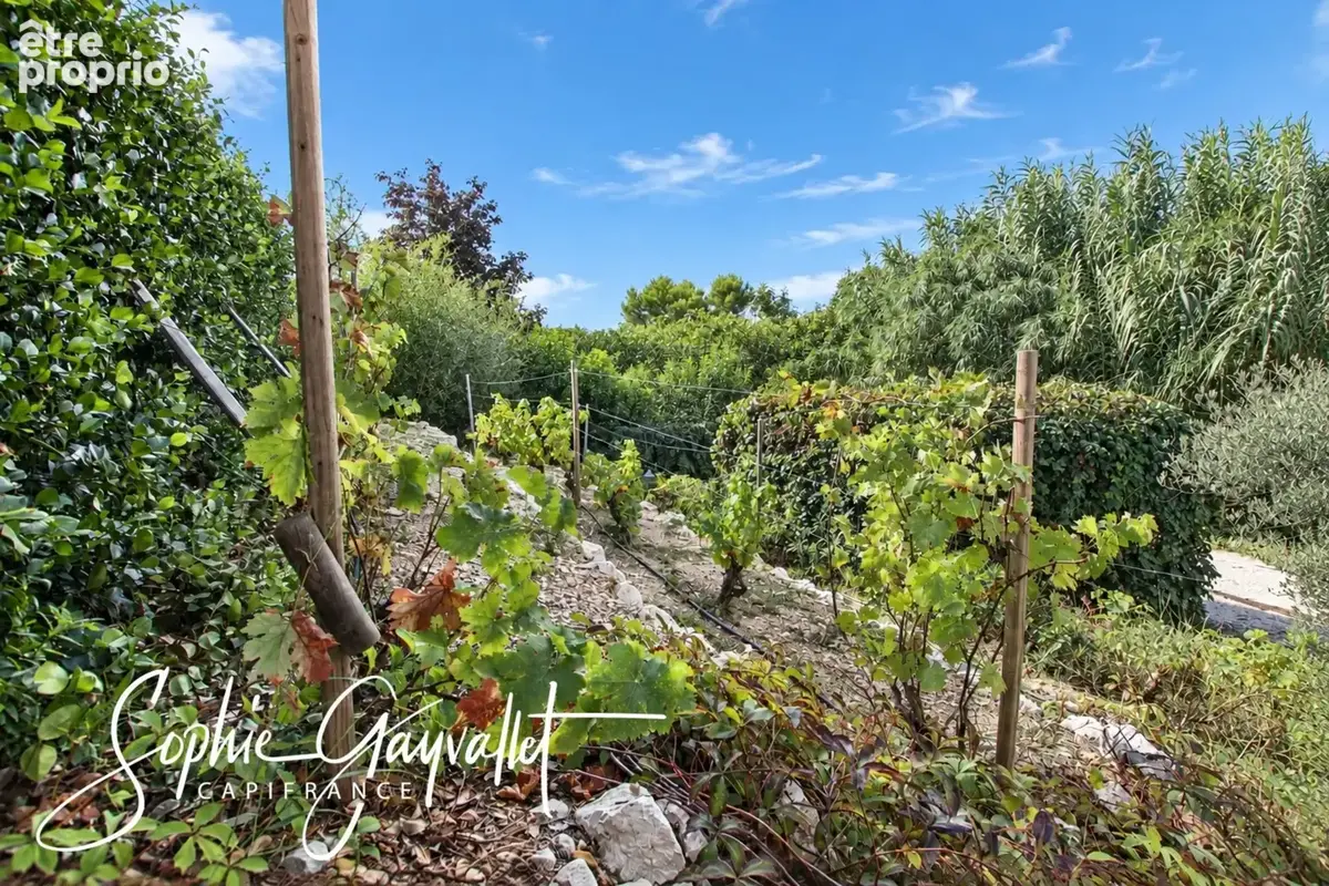 Velaux – Maison familiale dans un environnement campagne préservé - photo 3
