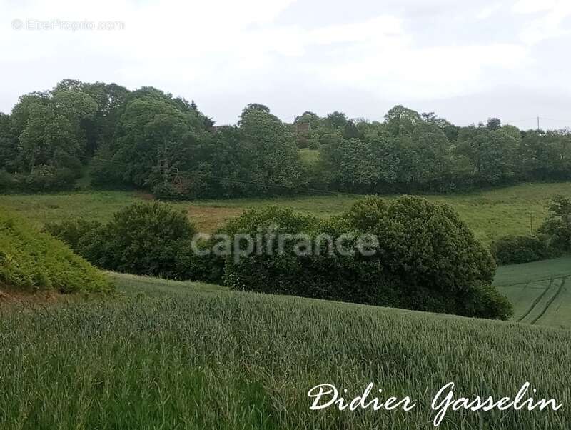 Terrain à vendre  BRUNELLES (28) - photo 5
