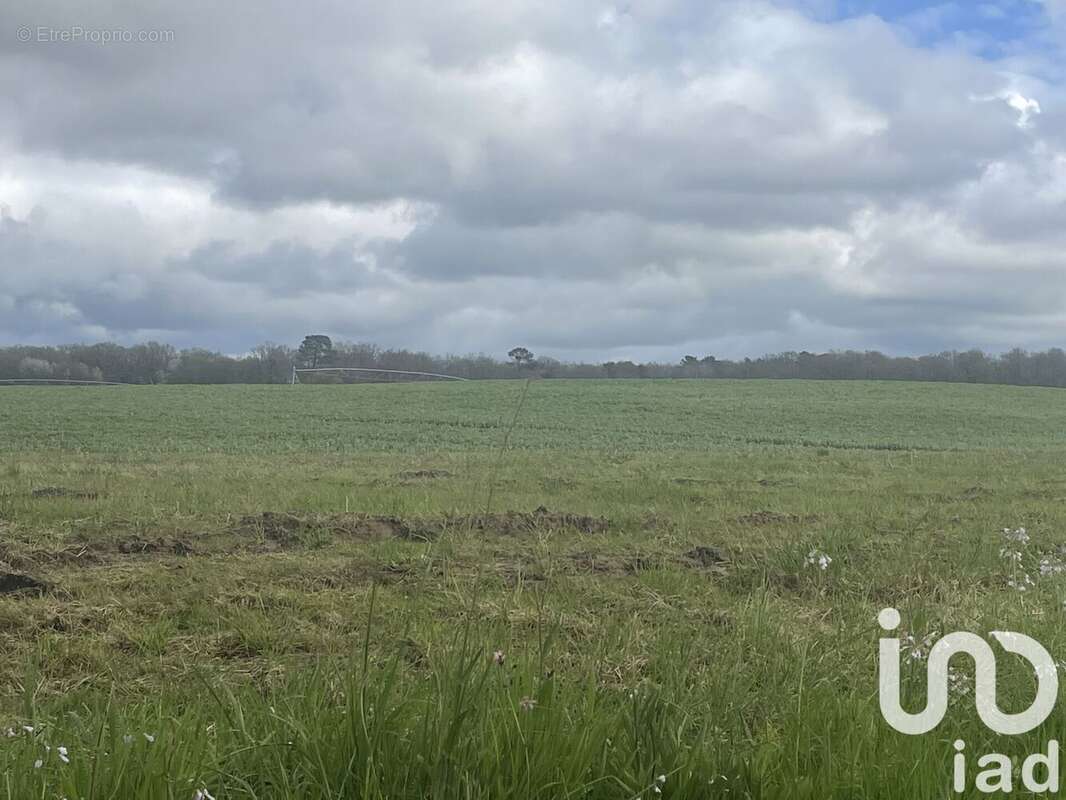 Photo 3 - Terrain à SAINT-AGNE