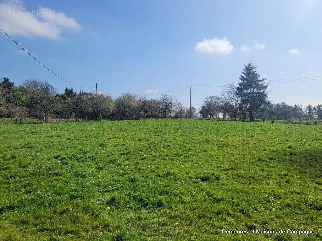Maison à LE TEILLEUL
