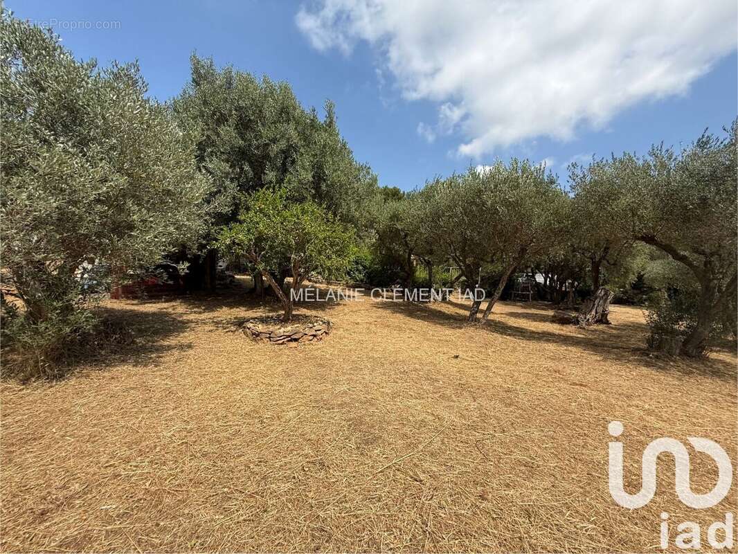 Photo 7 - Maison à SANARY-SUR-MER