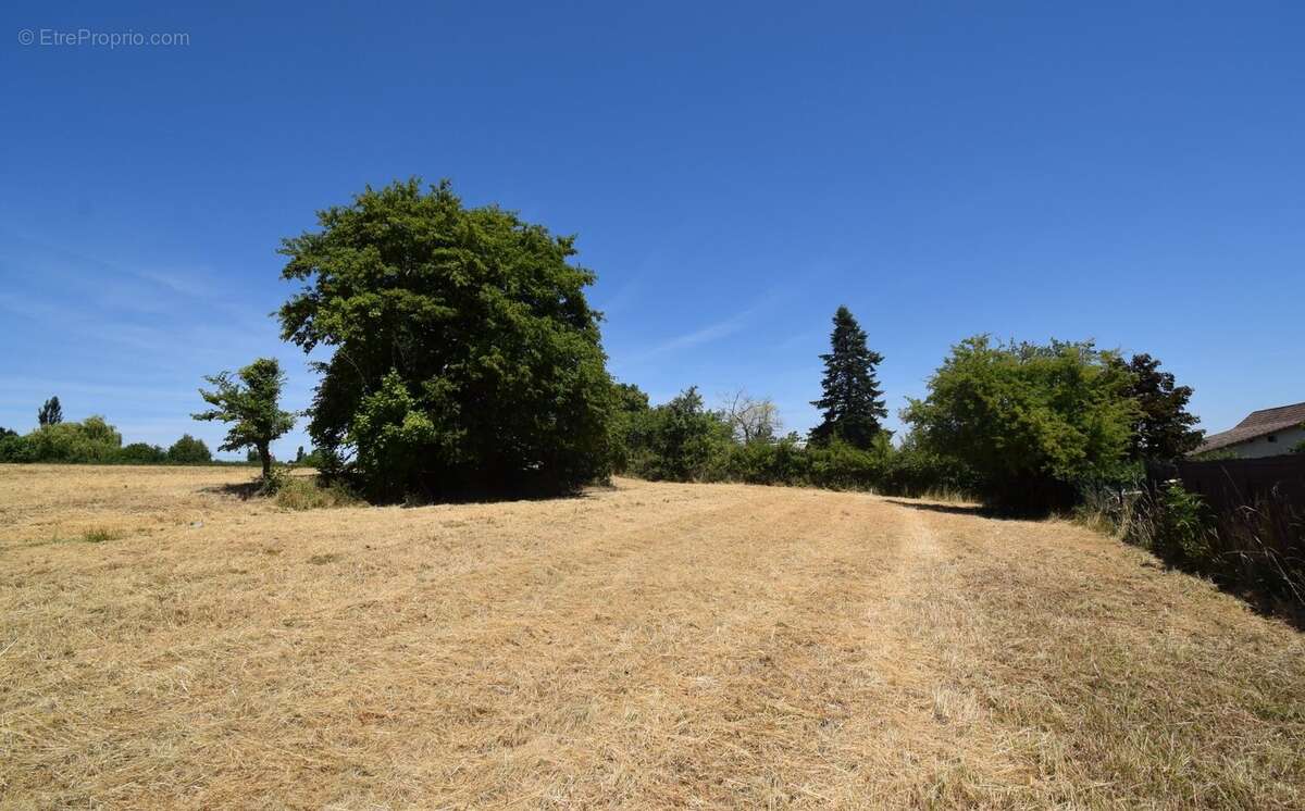 À VENDRE - Terrain constructible à ESPINASSE-VOZELLE - photo 2