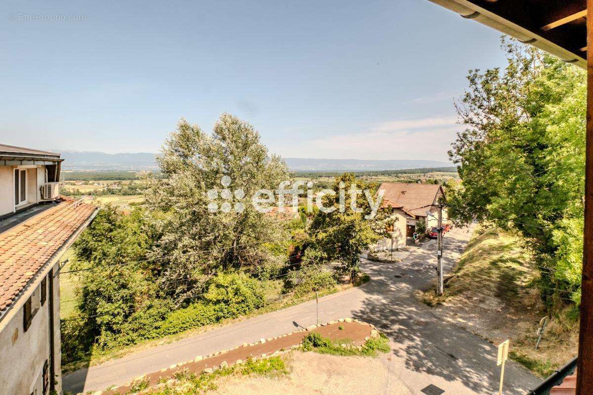 Appartement - photo 4