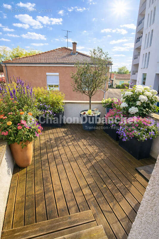 Appartement à LE COTEAU