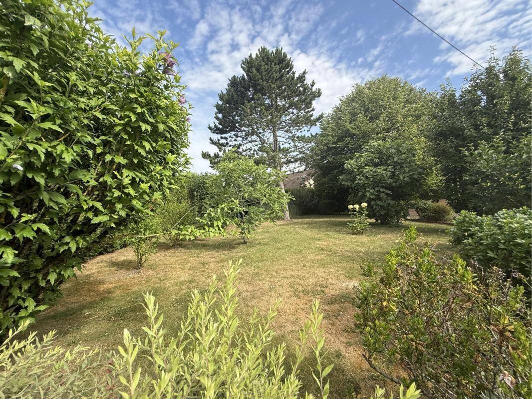 Terrain à PENCHARD