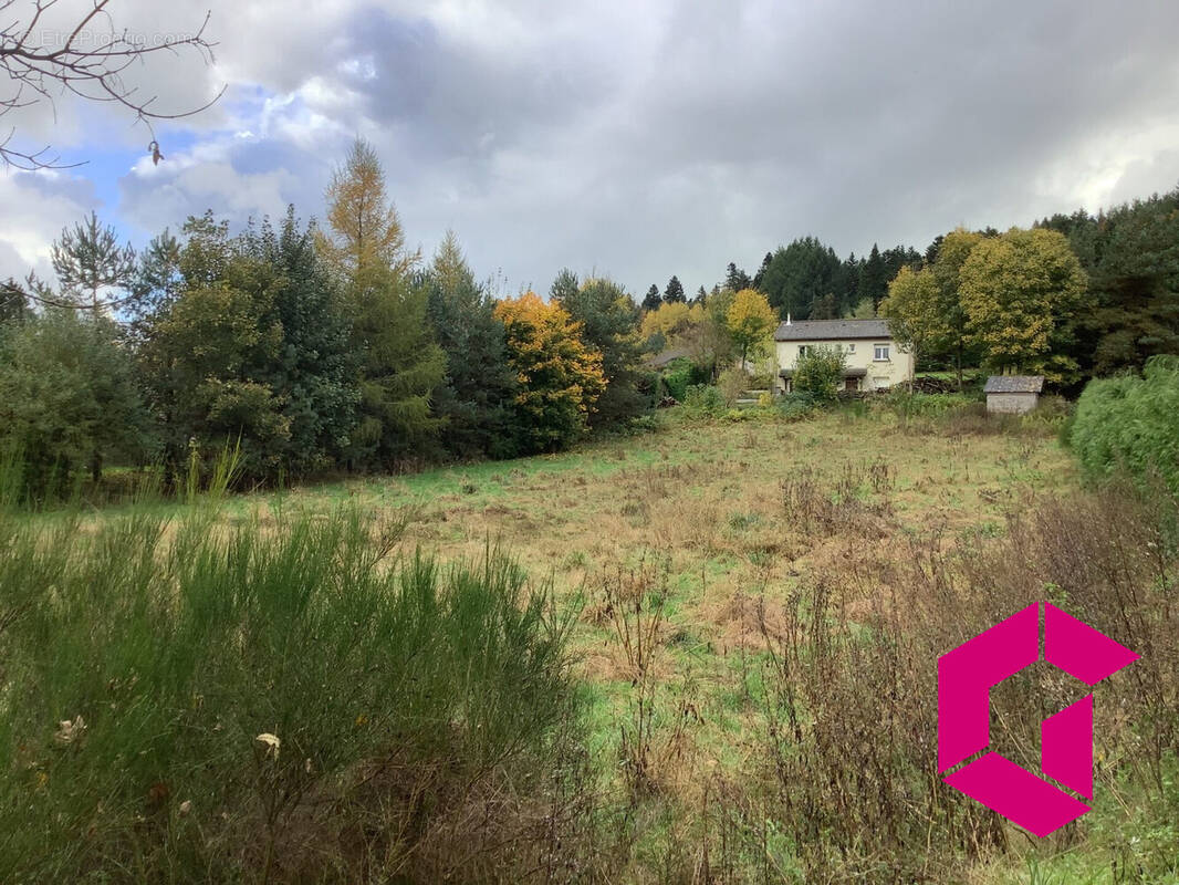 Terrain à LE CHAMBON-SUR-LIGNON