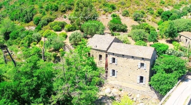Maison à SANTO-PIETRO-DI-TENDA