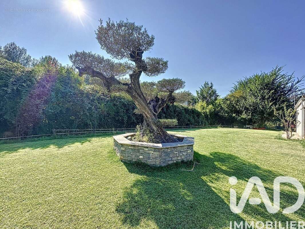 Photo 4 - Maison à PRADES-LE-LEZ