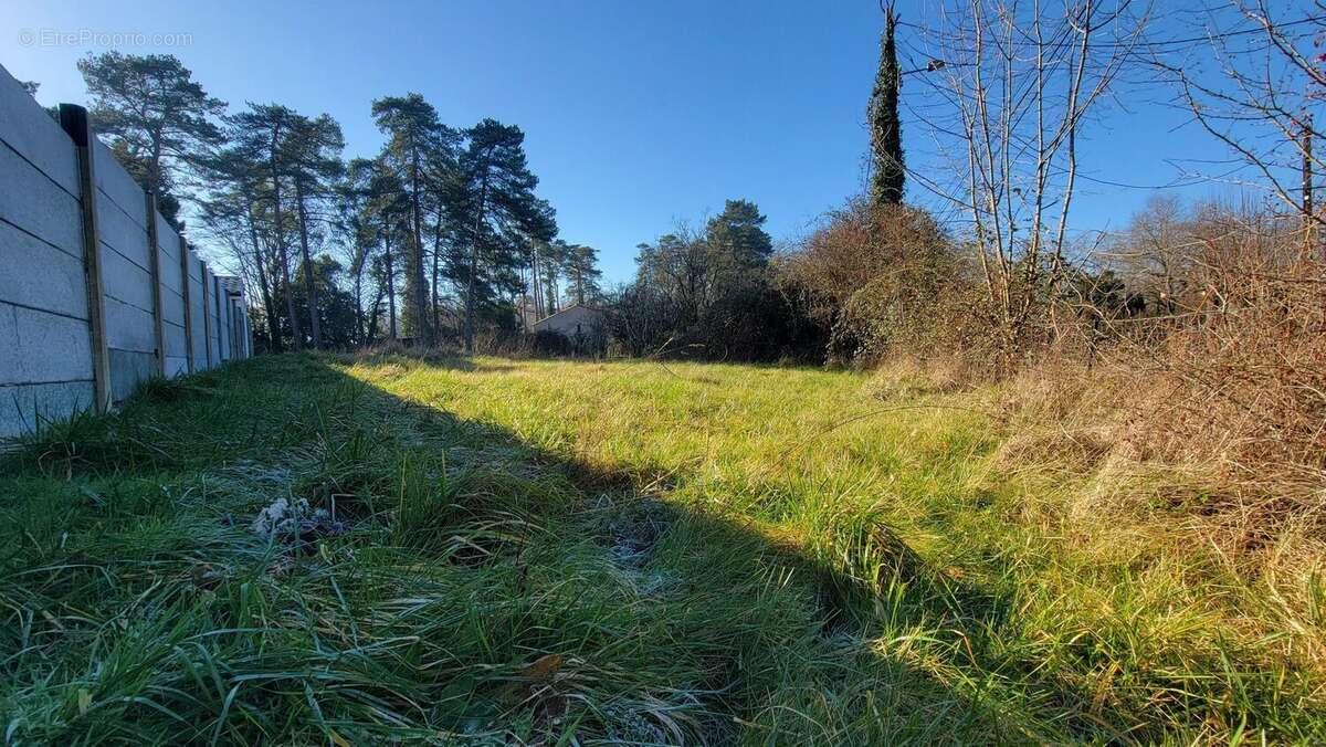 Terrain 490 m² à Martillac  - photo 2