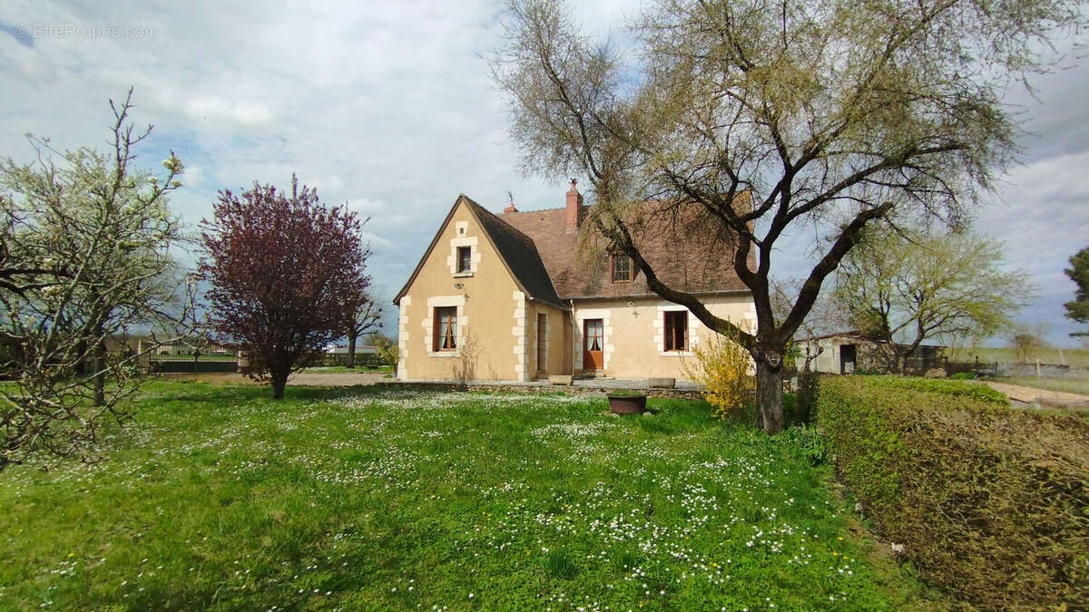 Maison 146 m² à Boussay  - photo 4