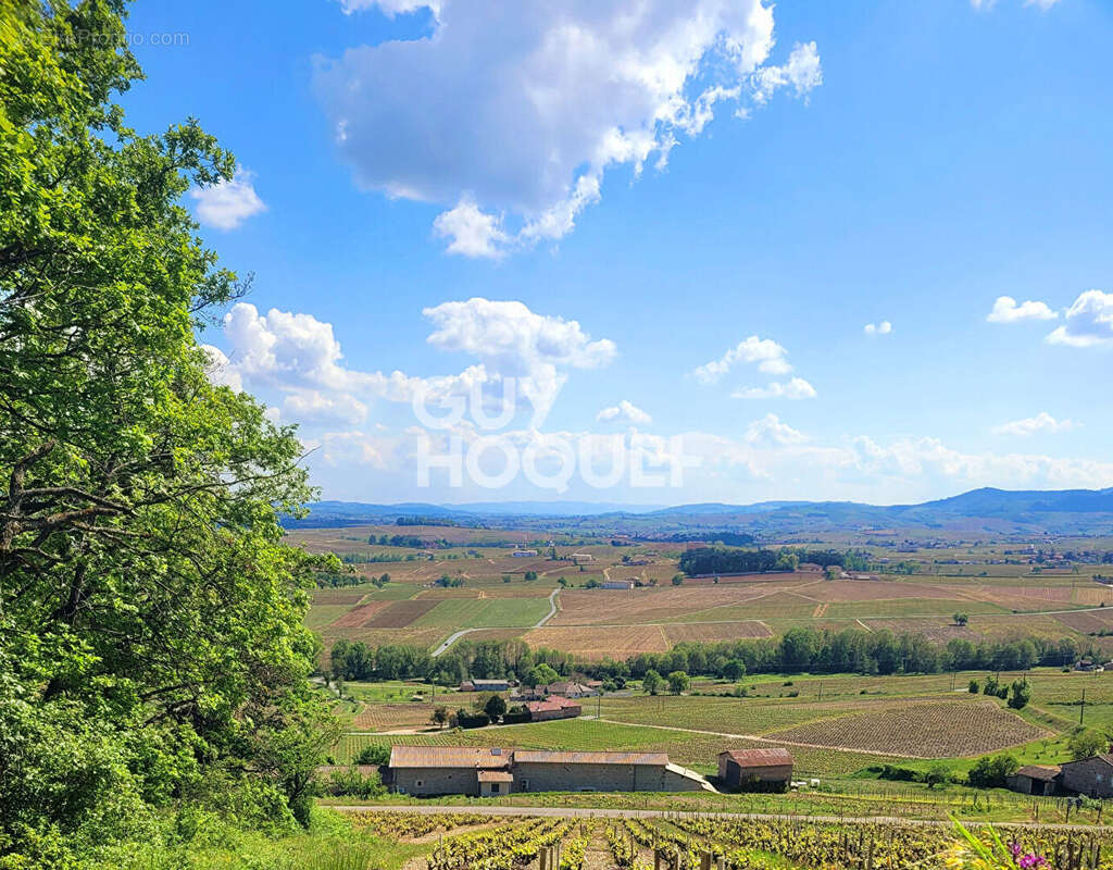 Terrain Saint Georges De Reneins 653 m2, Hors Lotissement. - photo 2