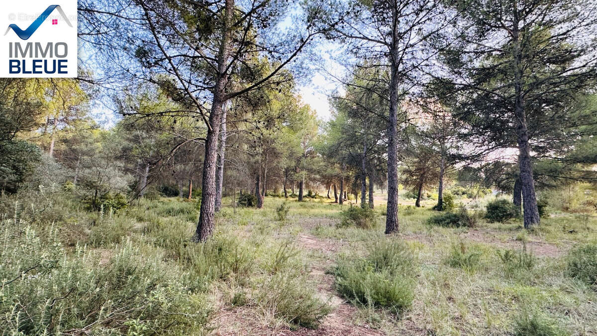 Terrain à SAINT-MITRE-LES-REMPARTS