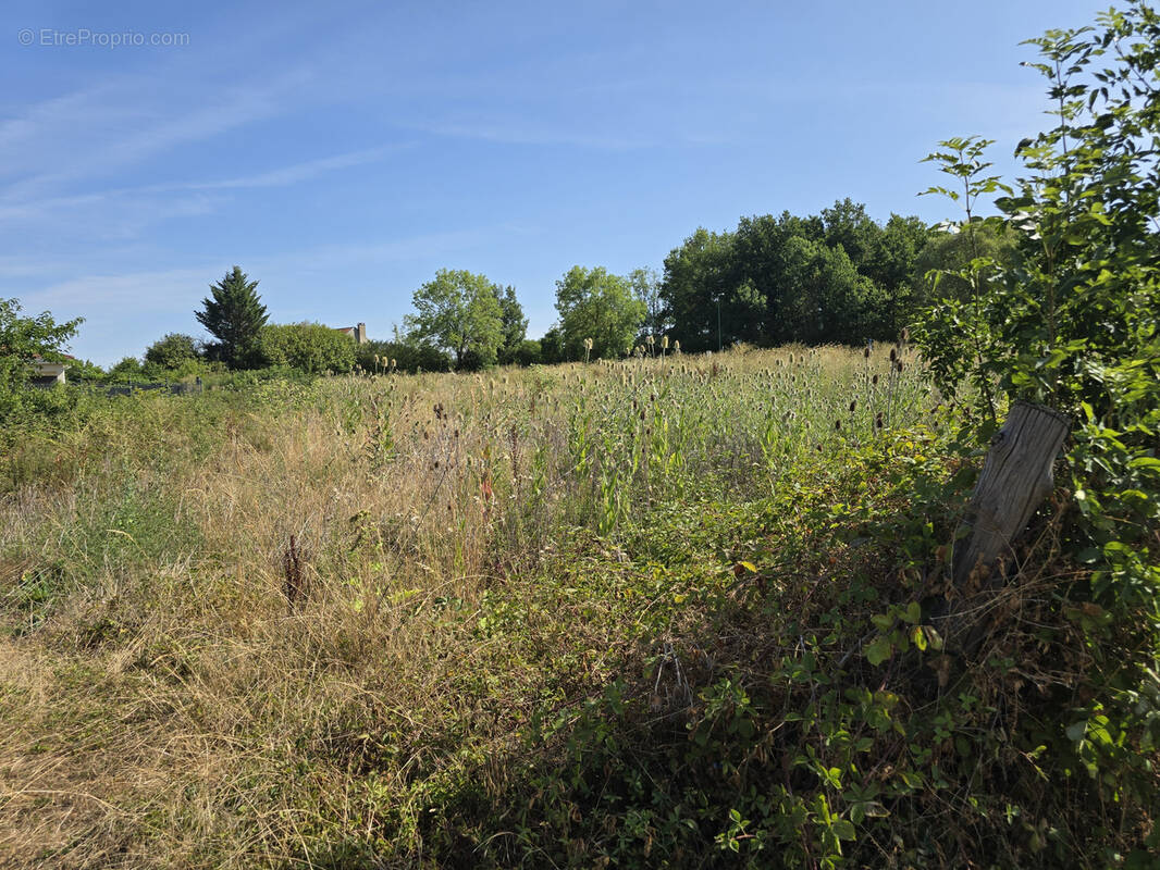Terrain à CREUZIER-LE-VIEUX