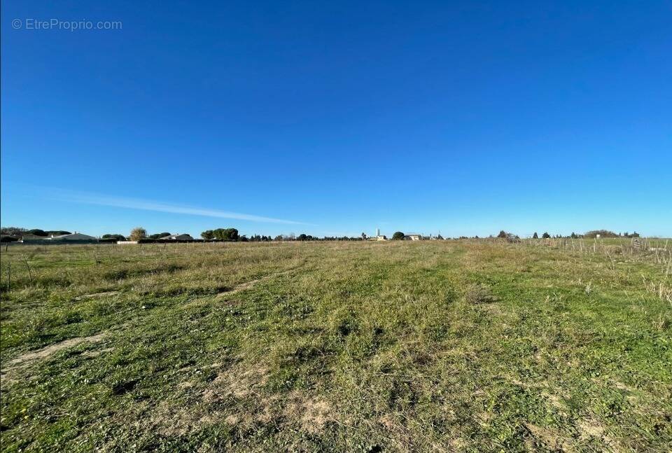 Terrain à LE CAILAR