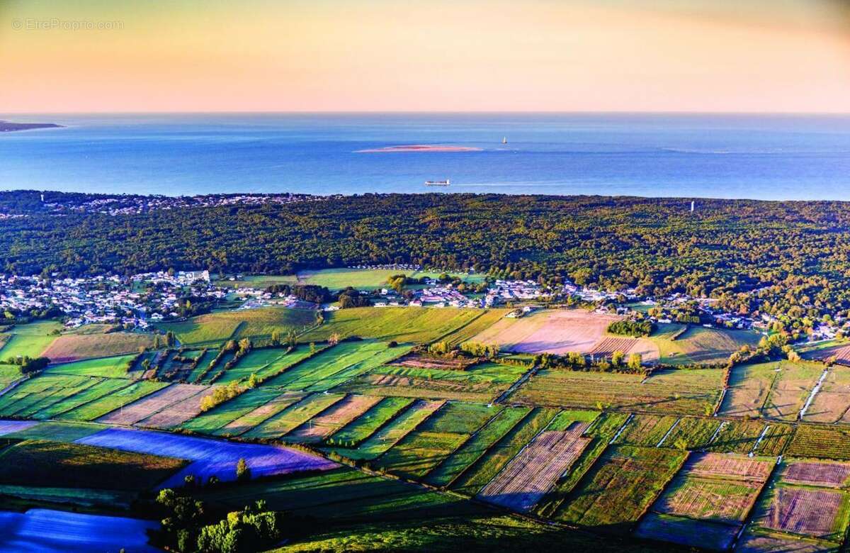 Appartement à SAINT-AUGUSTIN