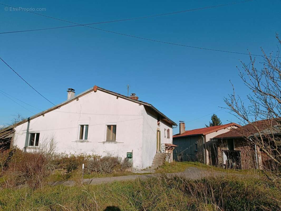 Photo 2 - Maison à BELMONT-DE-LA-LOIRE