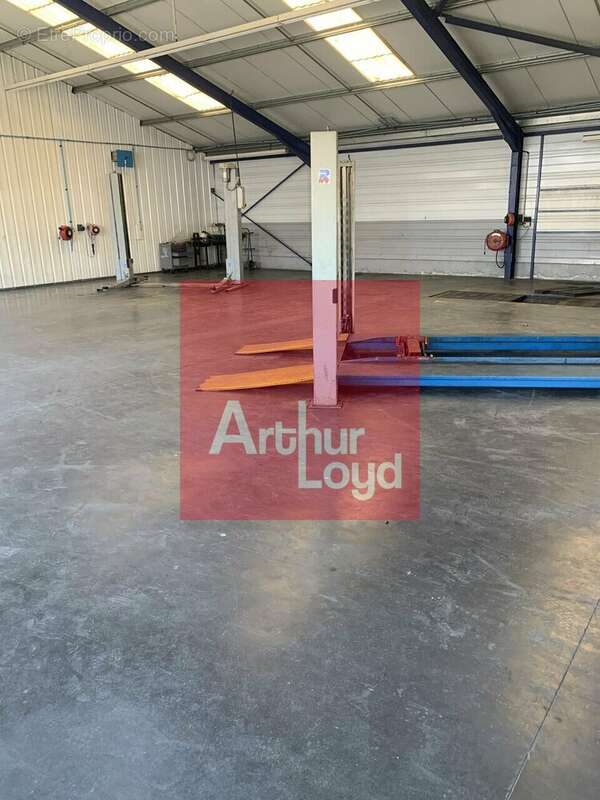 1500 m² à Lafox  - photo 4