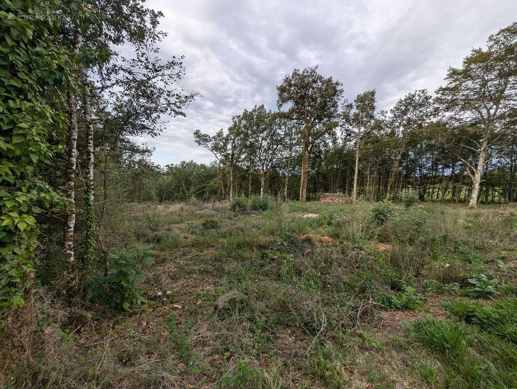 Terrain à LA CASSAGNE