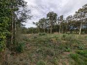 Terrain à LA CASSAGNE