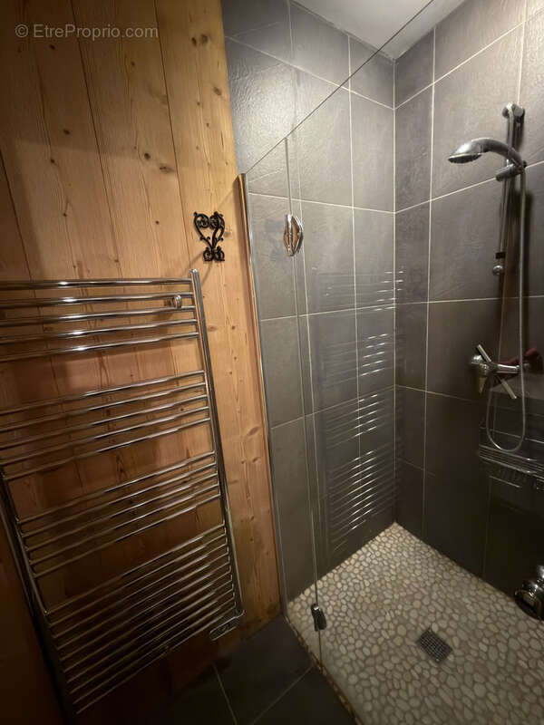 Appartement à LAVEISSIERE