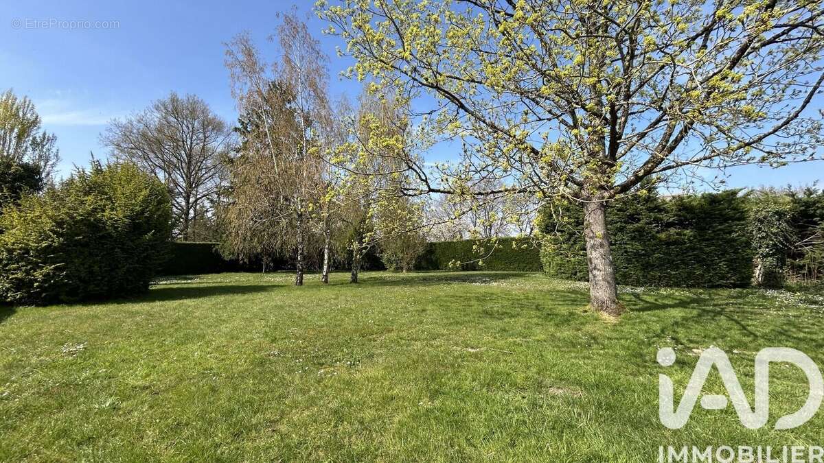 Photo 5 - Maison à AZAY-SUR-CHER