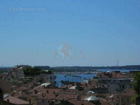 Photo 9 - Appartement à CANNES