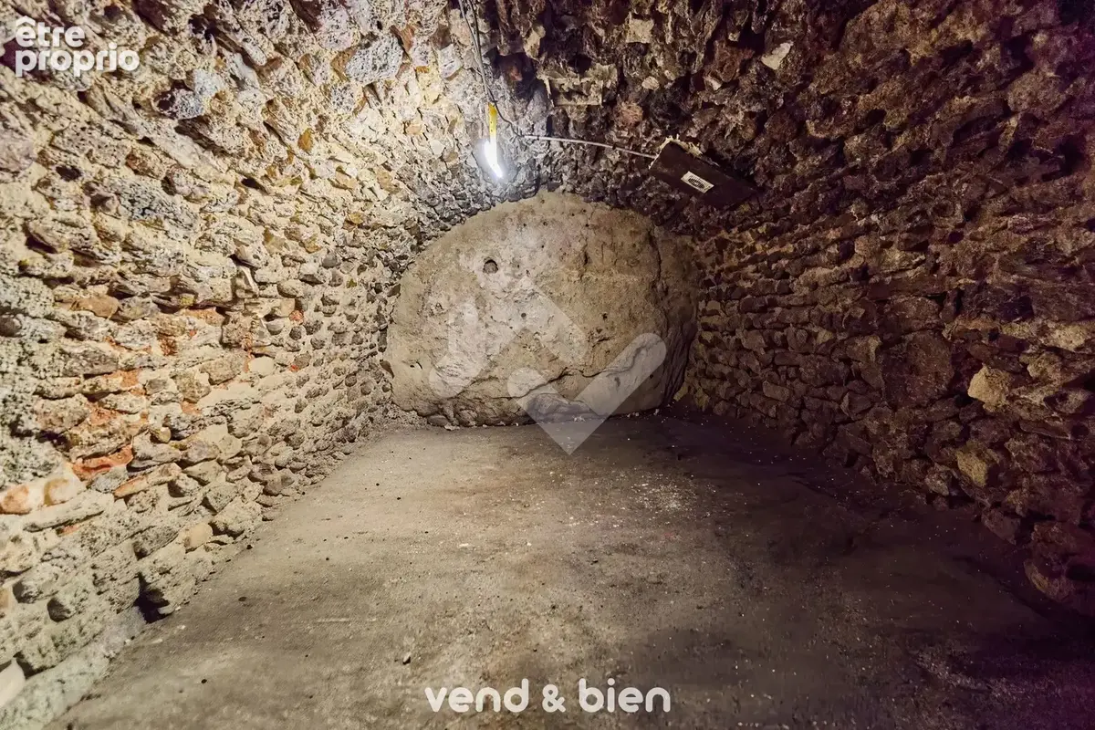 Maison T4 Saint Martin D'ablois - photo 19