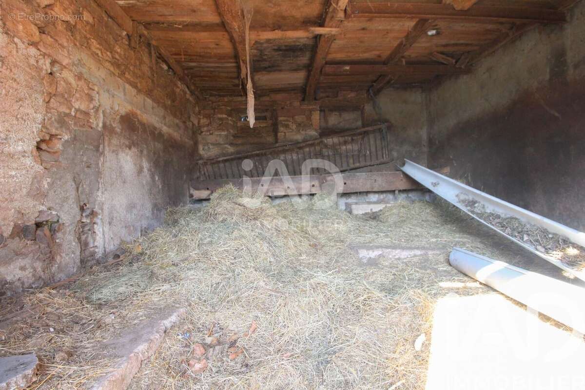 Maison 38 m² à Broquies  - photo 4