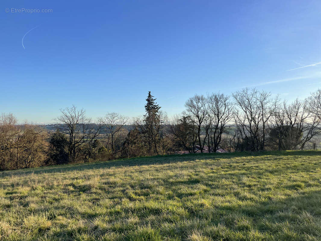 Terrain à Bâtir à Quint Fonsegrives (31130) - photo 2