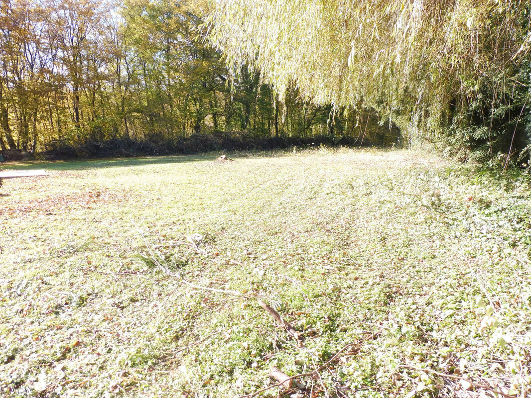 Terrain à BAVILLIERS