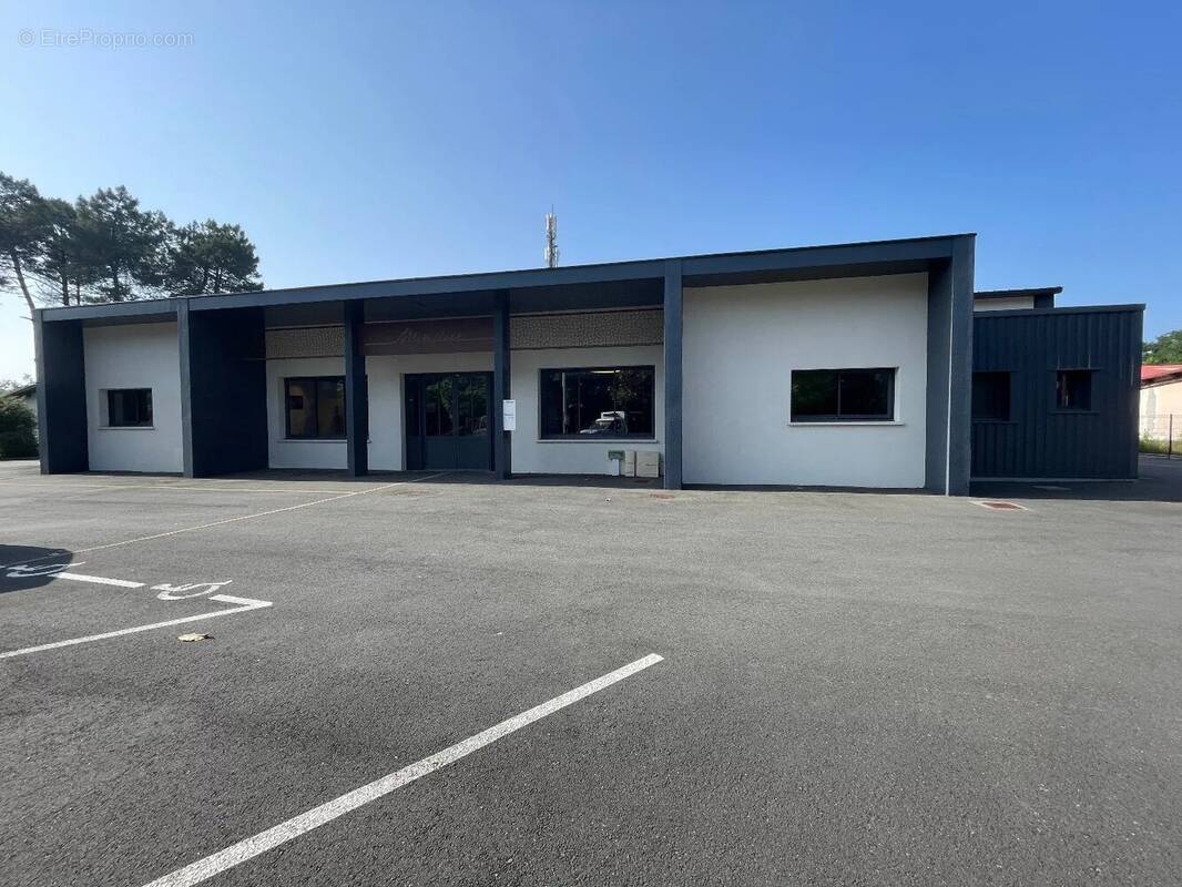 Commerce à SEIGNOSSE