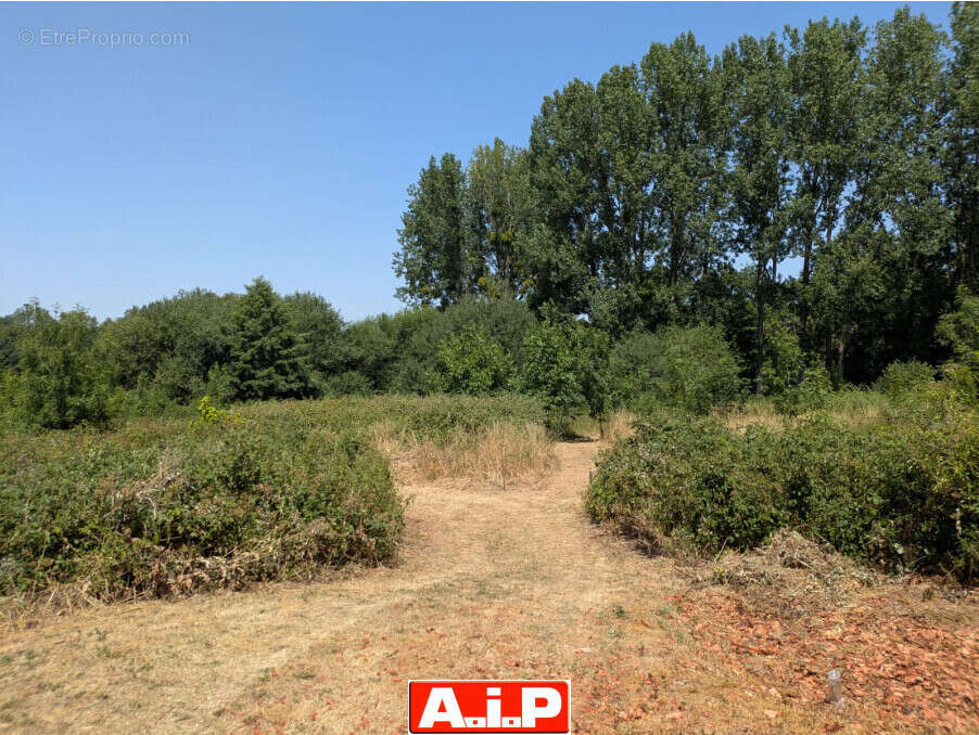 Terrain 61114 m² à Breuil-Barret  - photo 4
