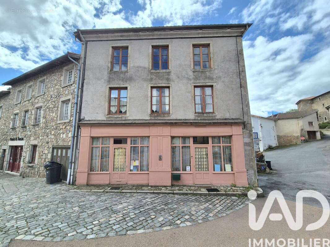 Maison 355 m² à Saint-Just-En-Chevalet  - photo 2