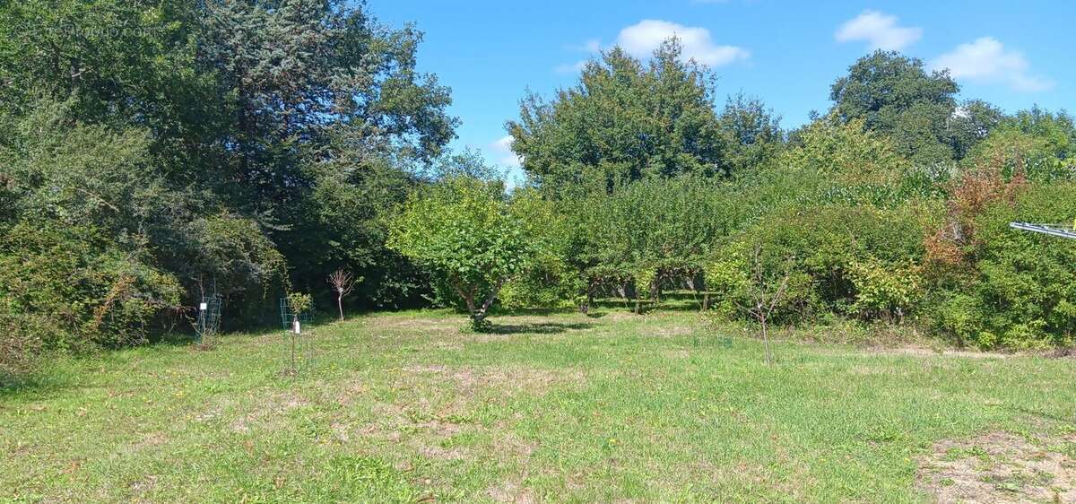 Maison à CEAUX-EN-COUHE