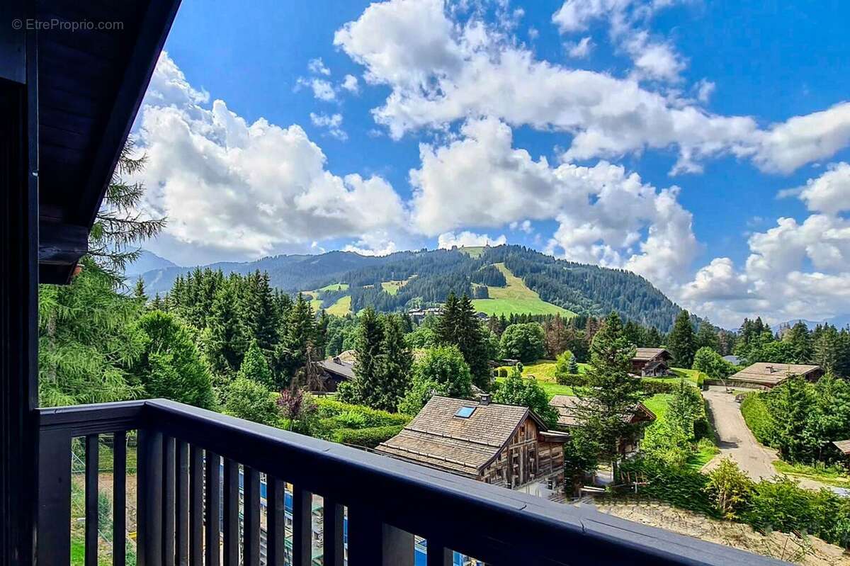 Maison 450 m² à Megeve  - photo 5