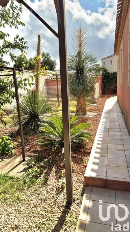 Photo 5 - Maison à LESPIGNAN